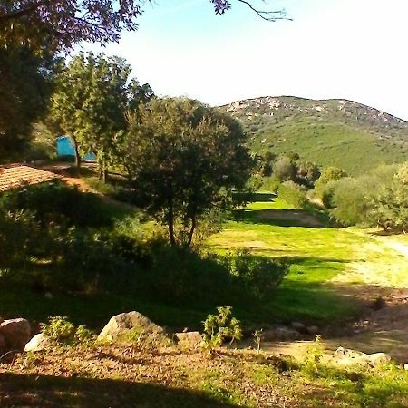 Farm Stay Gli Oleandri 로이리 외부 사진