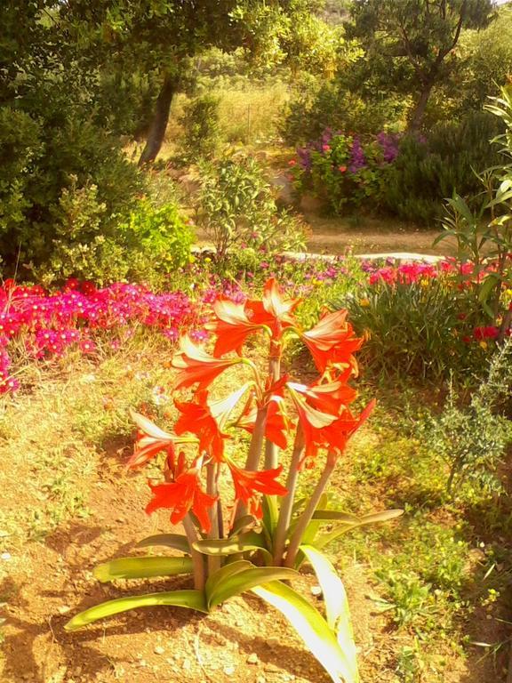 Farm Stay Gli Oleandri 로이리 외부 사진