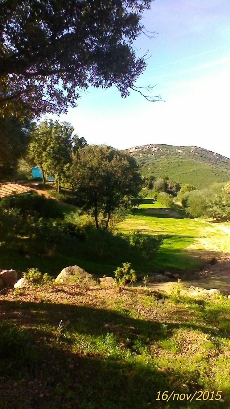 Farm Stay Gli Oleandri 로이리 외부 사진