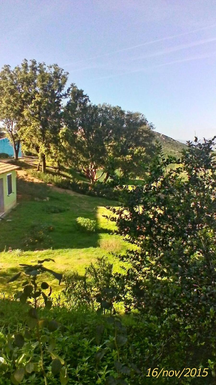 Farm Stay Gli Oleandri 로이리 외부 사진