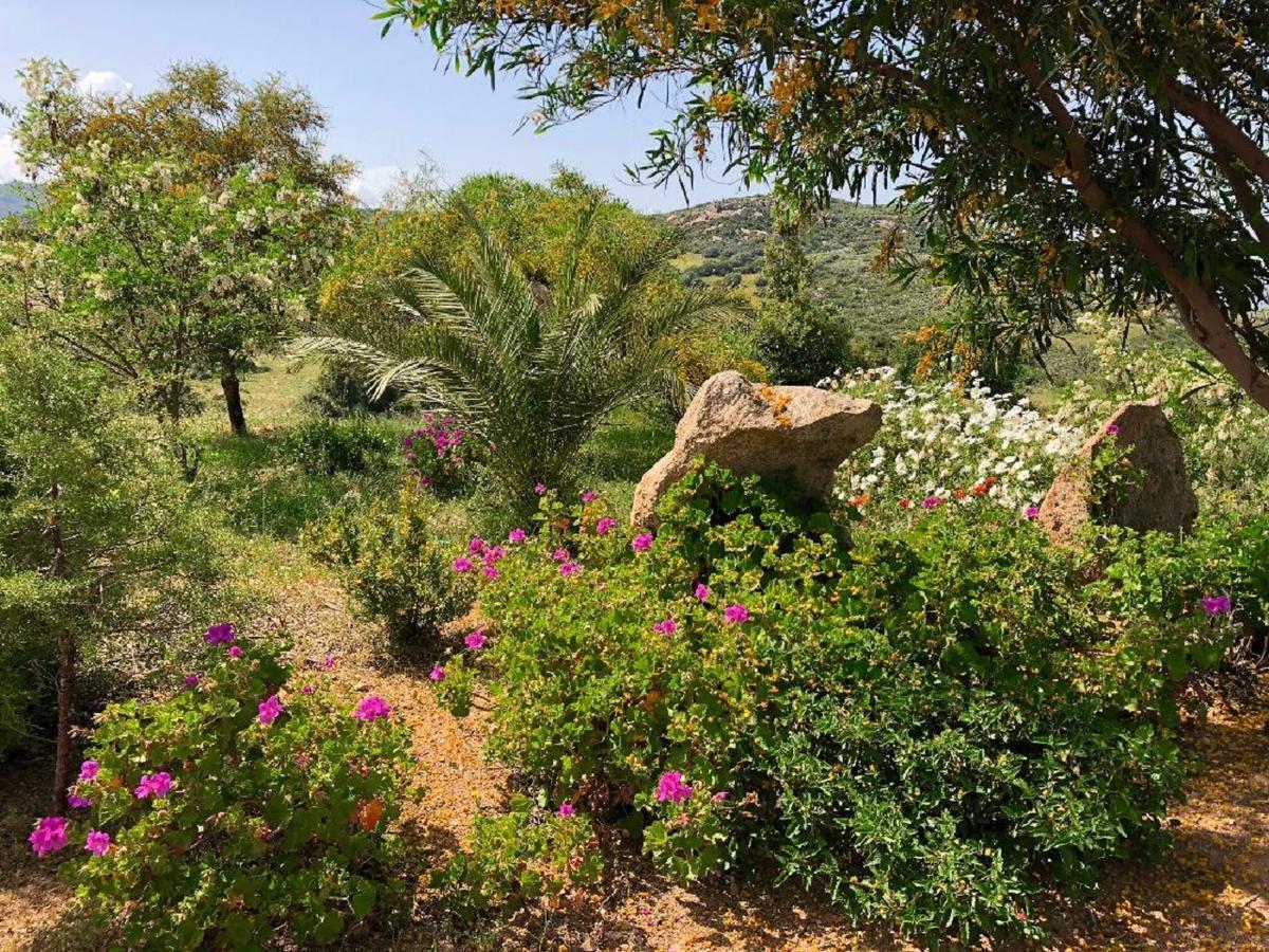 Farm Stay Gli Oleandri 로이리 외부 사진