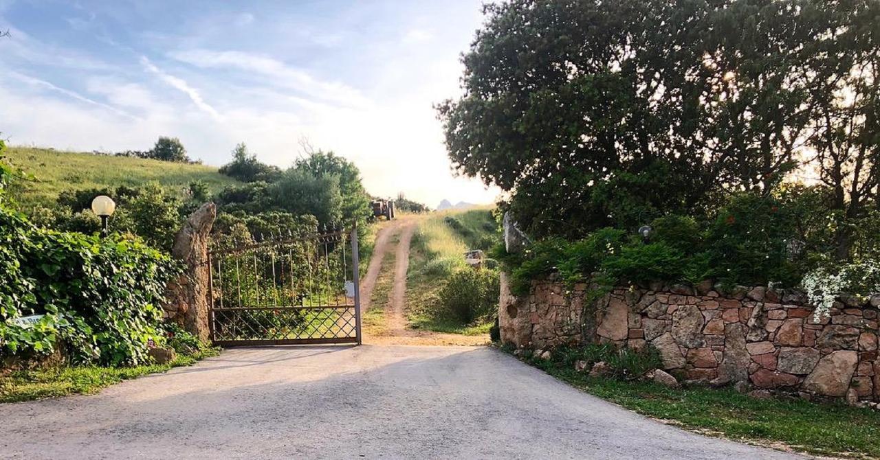 Farm Stay Gli Oleandri 로이리 외부 사진