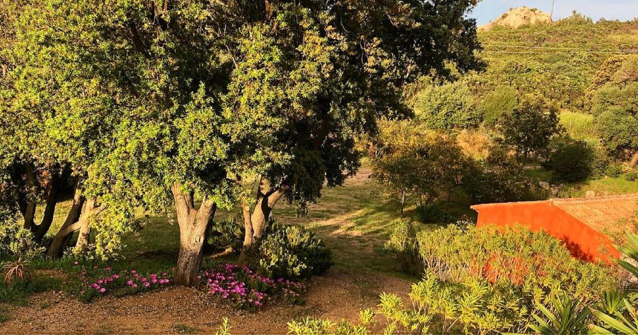 Farm Stay Gli Oleandri 로이리 외부 사진