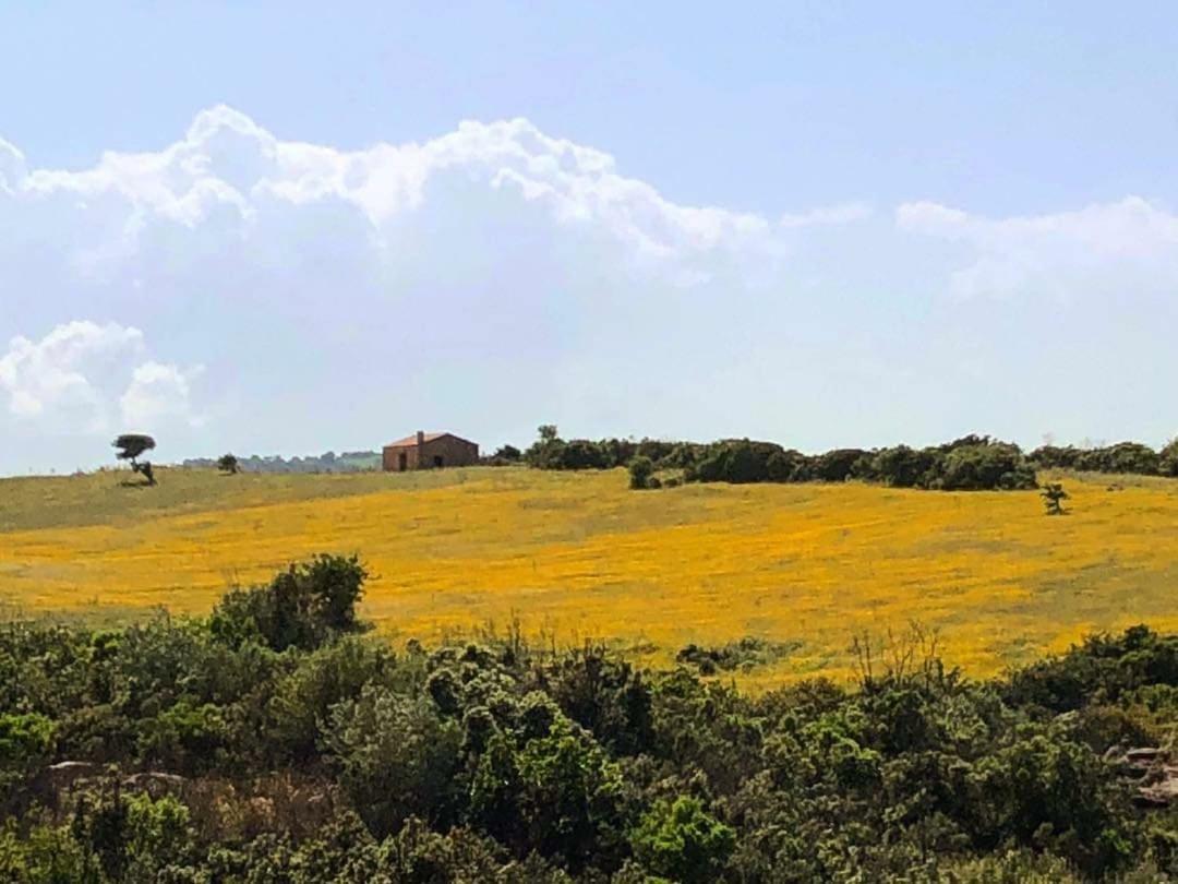 Farm Stay Gli Oleandri 로이리 외부 사진